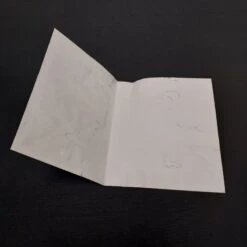 BOMBER RAID SANS NOTICE MASTER SYSTEM -Labyrinthe bomber raid sans notice master system 4