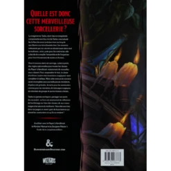 Dungeons & Dragons 5e Edition - Le Chaudron Des Merveilles De Tasha -Labyrinthe d d 5 le chaudron des merveill 1