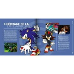 LA LEGENDE DREAMCAST PIX N LOVE EDITIONS -Labyrinthe la legende dreamcast pix n love editions 2