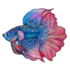 Puzzle En Bois Arc-en-ciel Poisson -Labyrinthe puzzle bois poisson 112p