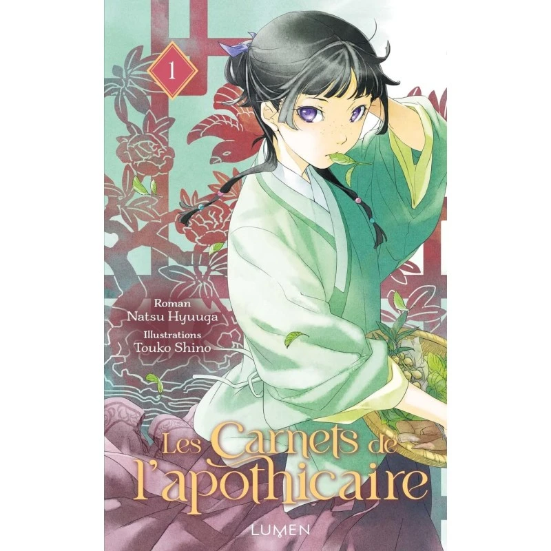 VOL. 1 LES CARNETS DE APOTHICAIRE ROMAN VOL. 1 LES CARNETS DE APOTHICAIRE ROMAN -Labyrinthe vol 1 les carnets de apothicaire roman