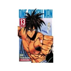 VOL. 13 ONE-PUNCH MAN