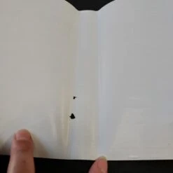 WRESTLEMANIA STEEL CAGE CHALLENGE SANS NOTICE MASTER SYSTEM -Labyrinthe wrestlemania steel cage challenge sans notice master system 8